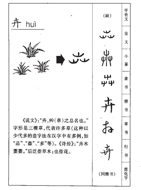 卉名字意思|卉字起名寓意、卉字五行和姓名学含义